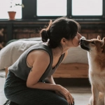 Стильный игровой уголок для собаки в современном домашнем интерьере